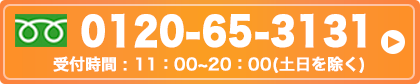 0120-65-3131