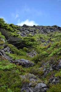 登山