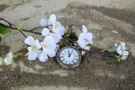 pocket-watch-1637392_640